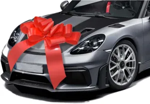 30 inch Car Bow,Giant Gift Bow for Car,Big Bow for Car Huge Car Bow,Big Bow for Gifts-Red