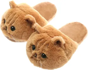 3D Kitty Slippers Womens Cat Slippers Smiley face Slippers for Girls Boys Animal House Slippers