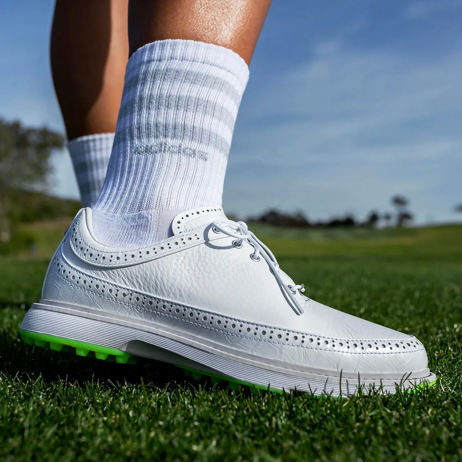 adidas Men's MC80 Spikeless Golf Shoe