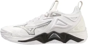Mizuno Men's Wave Momentum 3 Volleyball Shoe