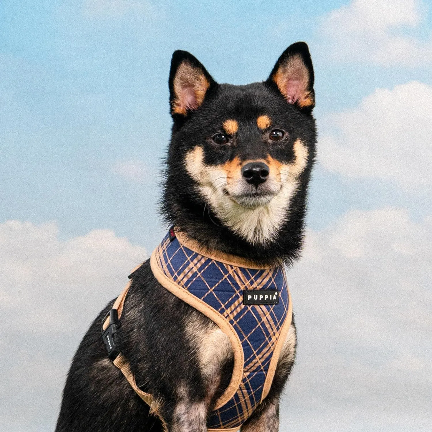 Puppia Corwin Dog Harness A (Over-The-Head) Fashionable Checkered Pattern Spring Summer Harness for Small and Medium Dogs, Navy, Medium