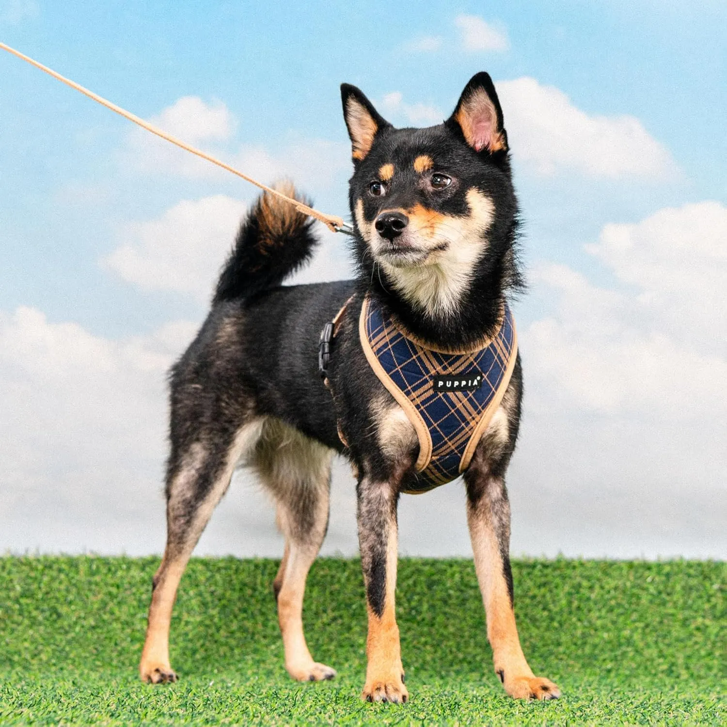 Puppia Corwin Dog Harness A (Over-The-Head) Fashionable Checkered Pattern Spring Summer Harness for Small and Medium Dogs, Navy, Medium