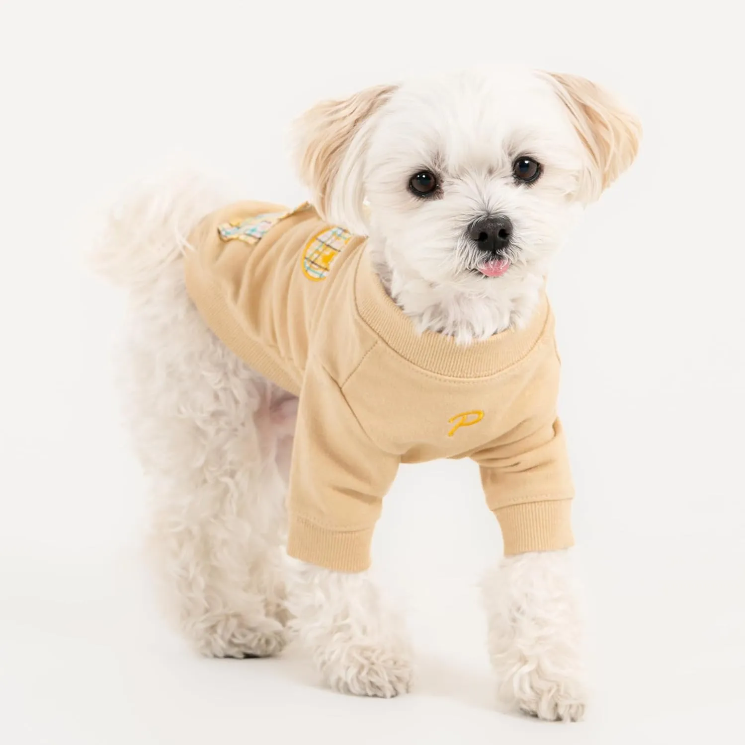 Puppia Zaid Dog Shirt Round NeckTrendy Fashionable Cute Dog Apparel for Small and Medium Dogs, Beige, X-Large