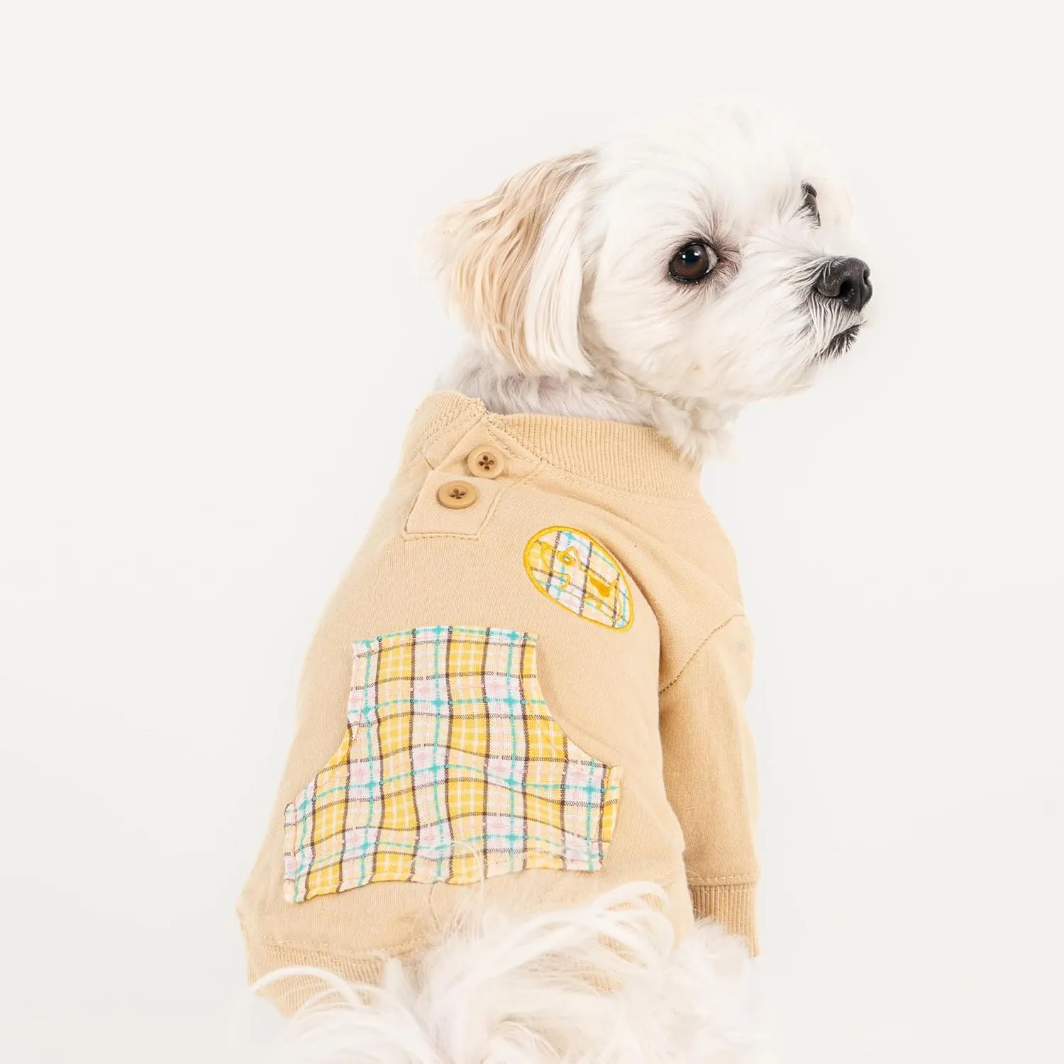 Puppia Zaid Dog Shirt Round NeckTrendy Fashionable Cute Dog Apparel for Small and Medium Dogs, Beige, X-Large