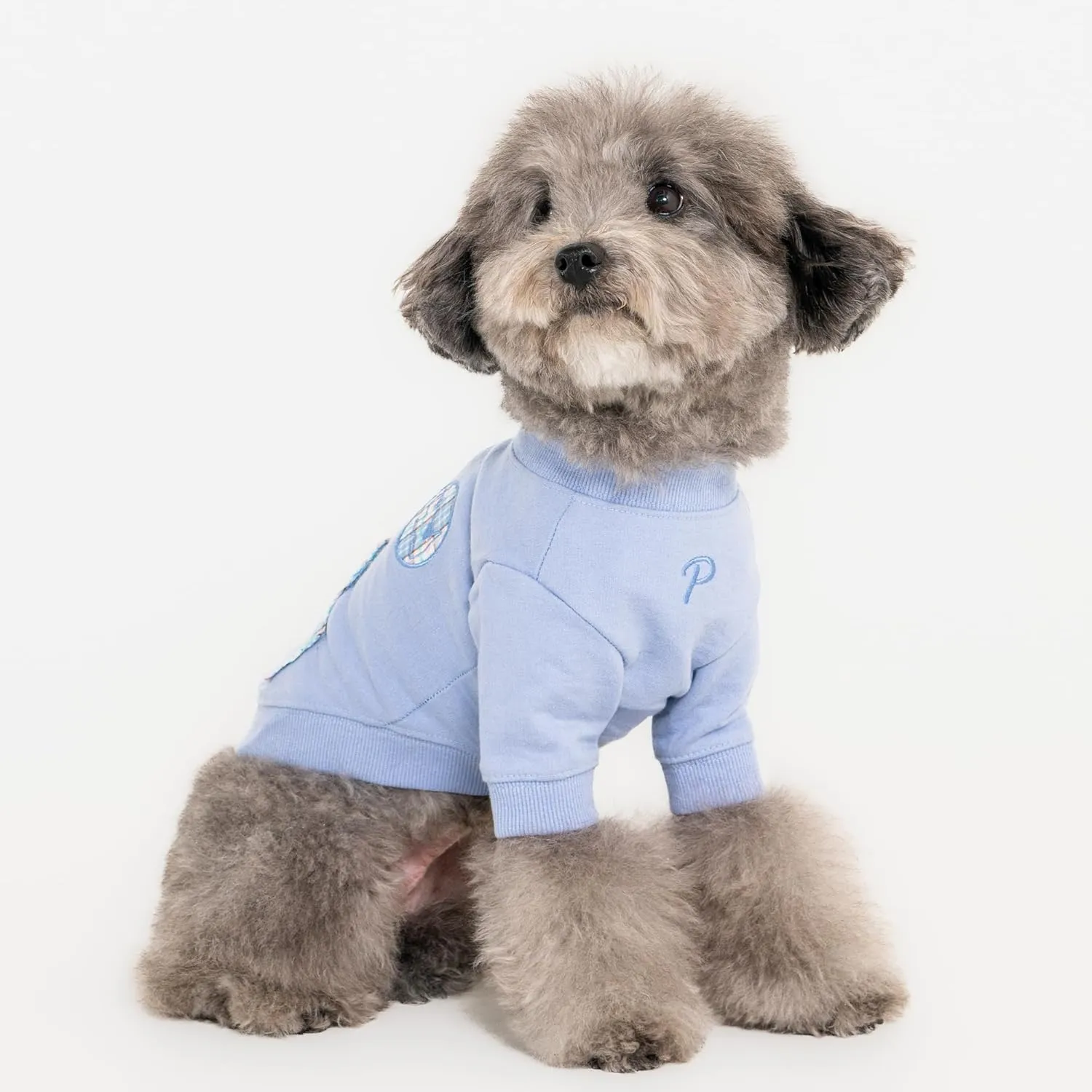 Puppia Zaid Dog Shirt Round NeckTrendy Fashionable Cute Dog Apparel for Small and Medium Dogs, Blue, Small